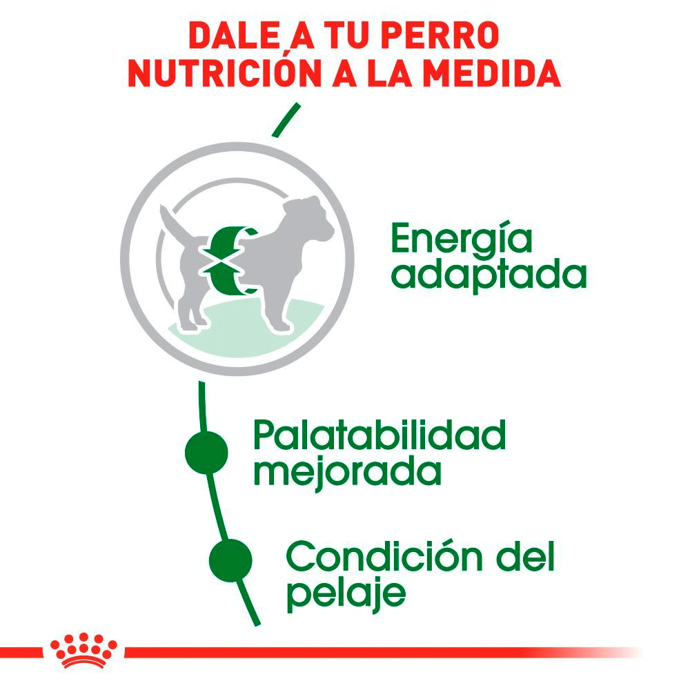 Royal Canin Mini Adulto Royal Canin Mini Adulto